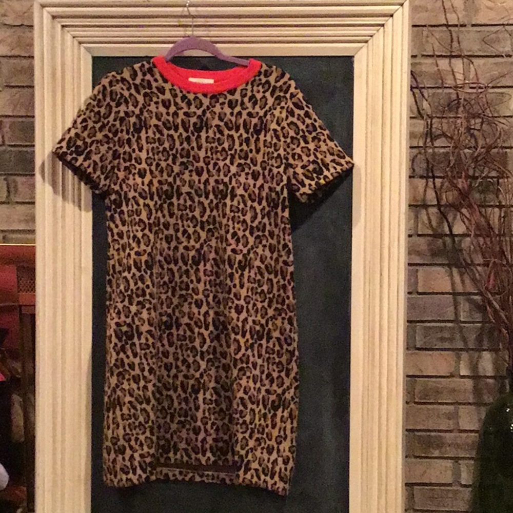 Darling J.Crew sweater dress.